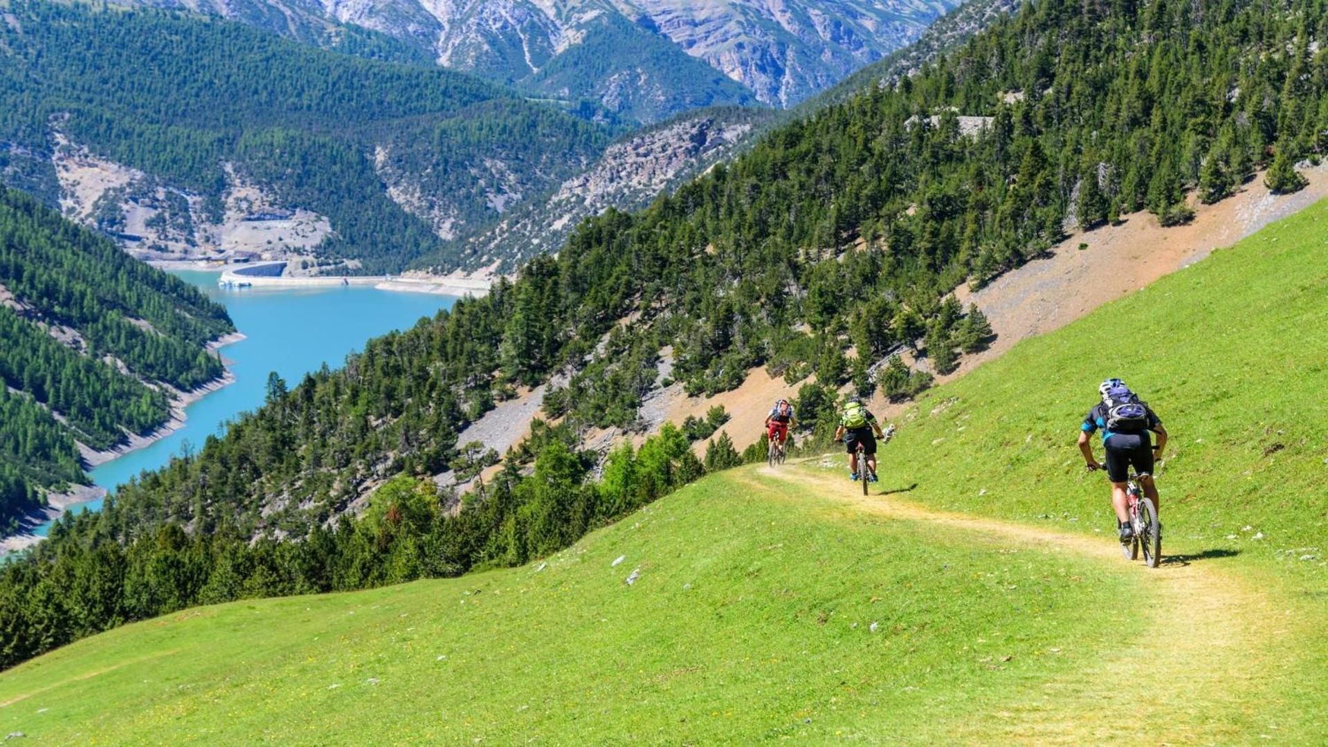 Rododendro - Happy Rentals Livigno Exterior foto